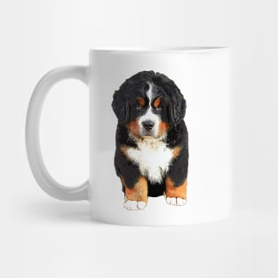 Bernese Mountain Dog Puppy - Super Cute! Mug